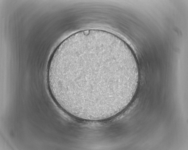 X0000115421525200912011316