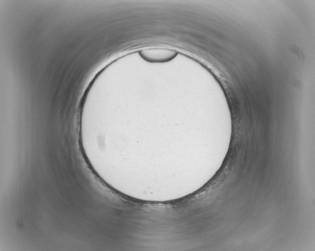 X0000115421526200912011316