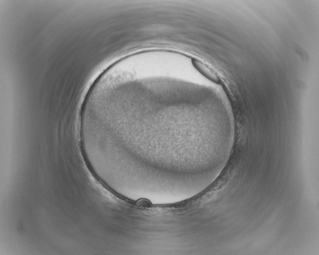 X0000115421527200912011316