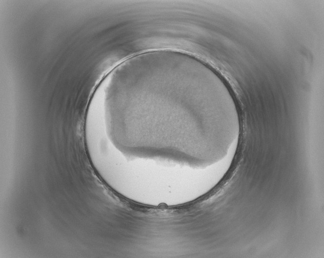 X0000115421529200912011316