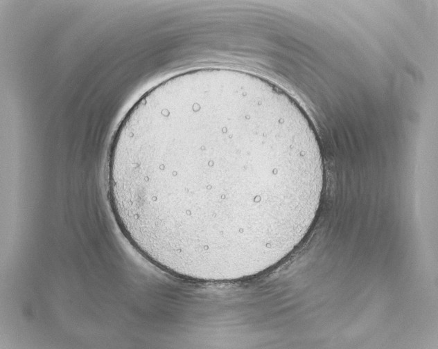 X0000115421531200912011316