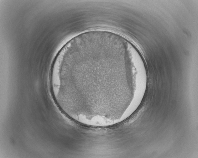 X0000115421533200912011316