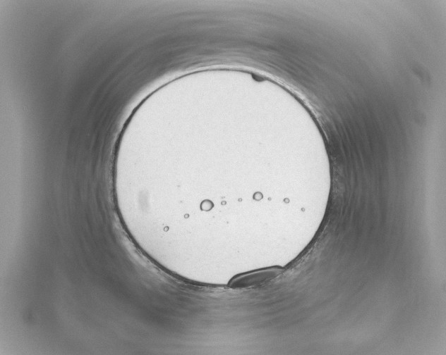 X0000115421534200912011316