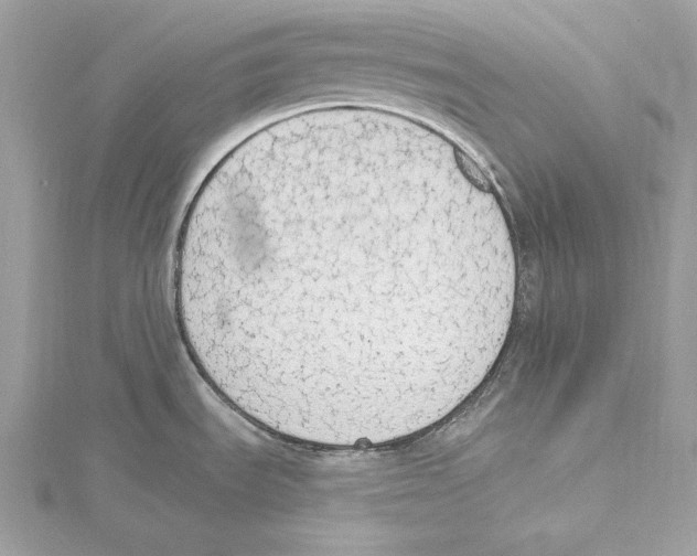 X0000115421535200912011316