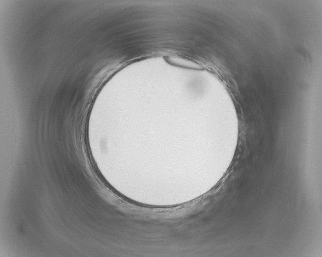 X0000115420001200912151613