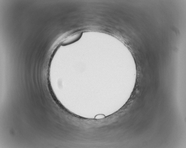 X0000115420007200912151613