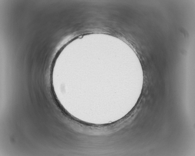 X0000115420008200912151613