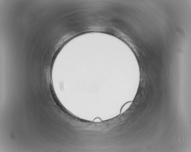 X0000115420011200912151613