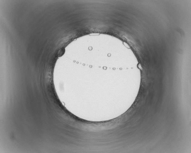 X0000115420017200912151612