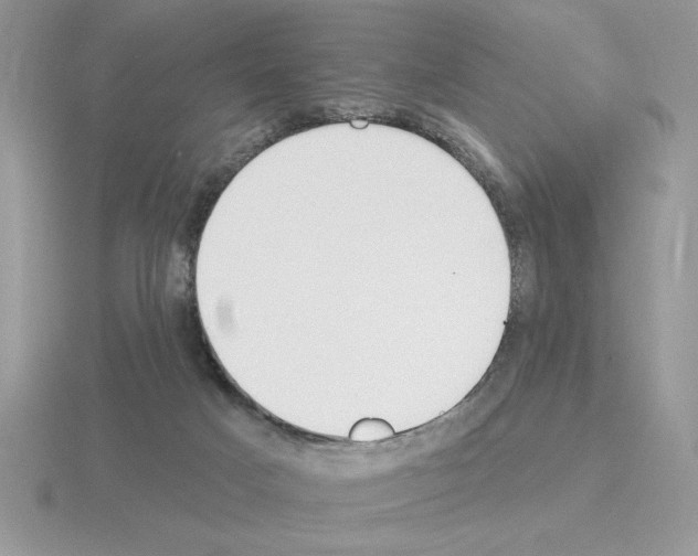 X0000115420025200912151612