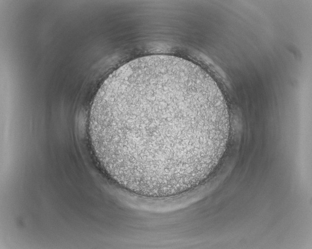 X0000115420026200912151612