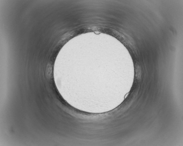 X0000115420036200912151612