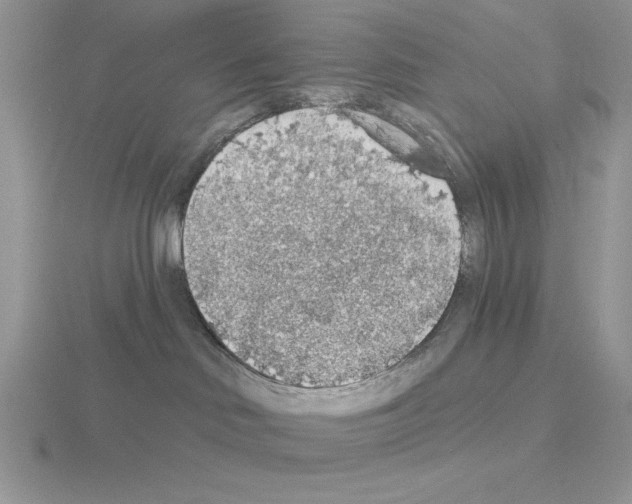 X0000115420046200912151612