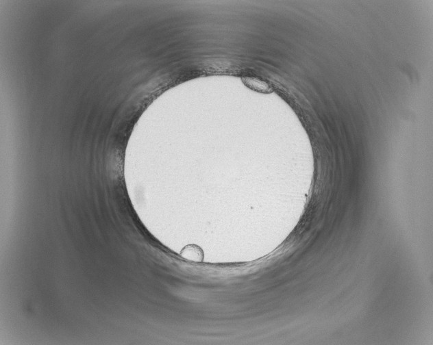 X0000115420048200912151612