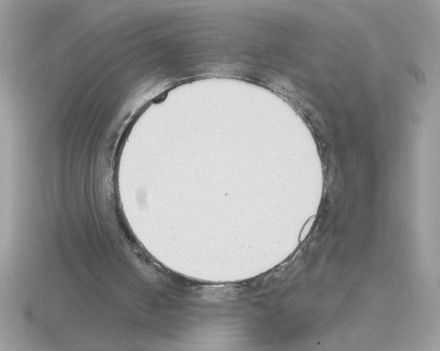 X0000115420050200912151611