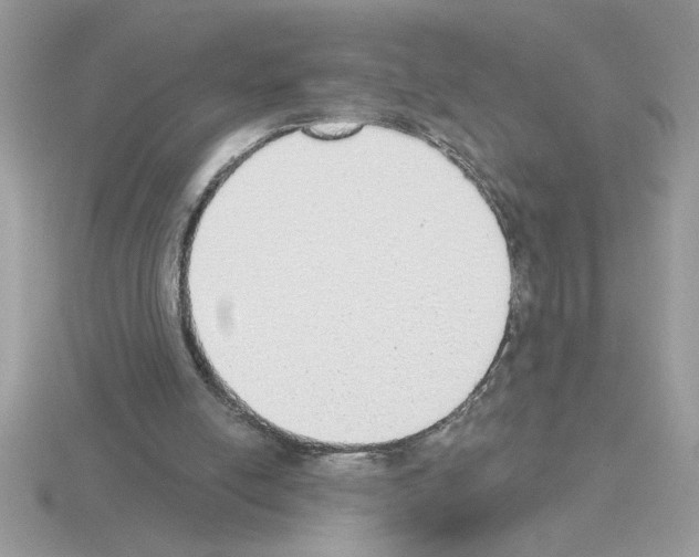 X0000115420054200912151611