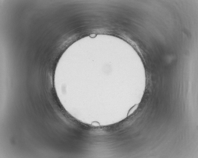 X0000115420061200912151612