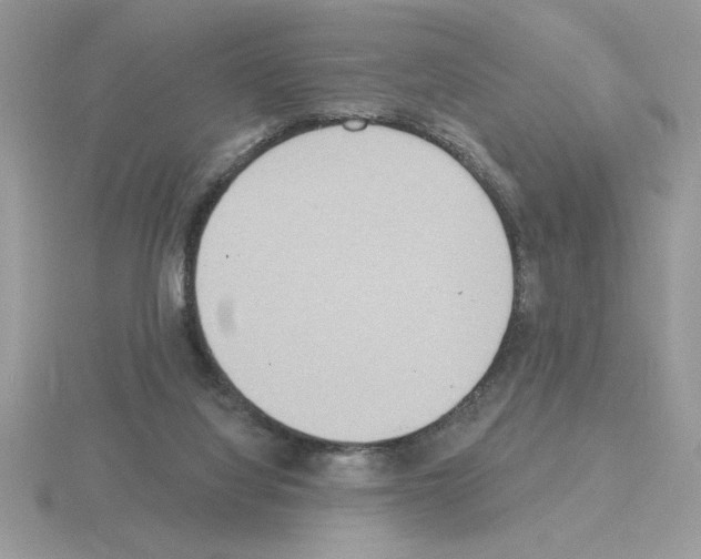X0000115420068200912151612