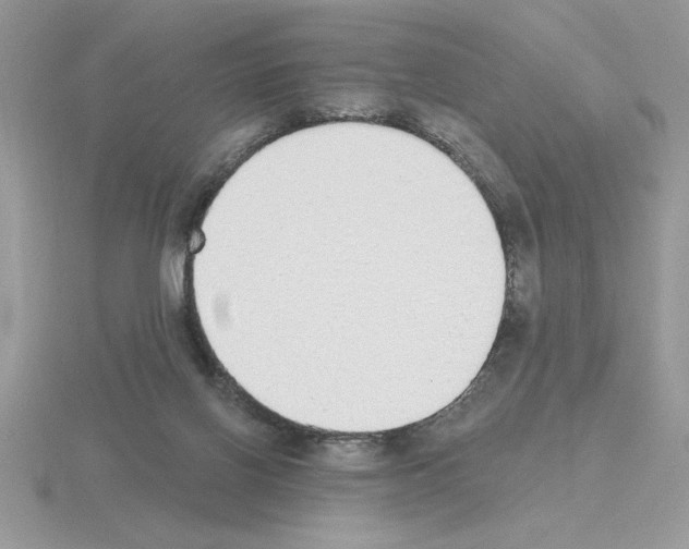 X0000115420070200912151612