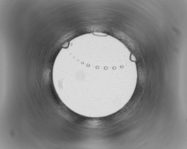 X0000115420071200912151612