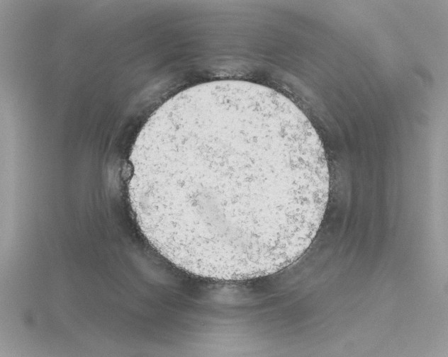 X0000115420074200912151612