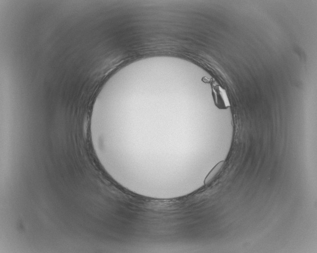 X0000115420076200912151612