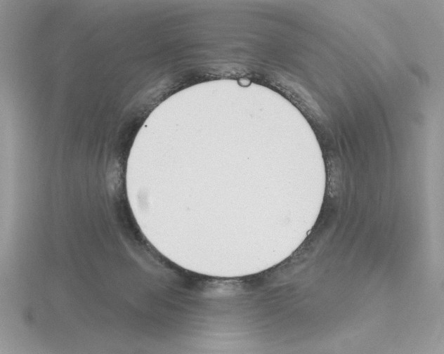 X0000115420077200912151612