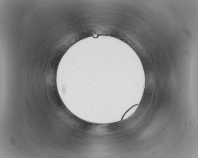 X0000115420078200912151612