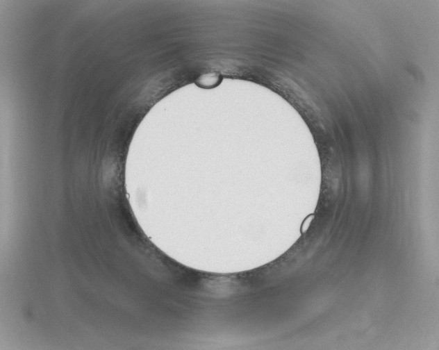 X0000115420079200912151612