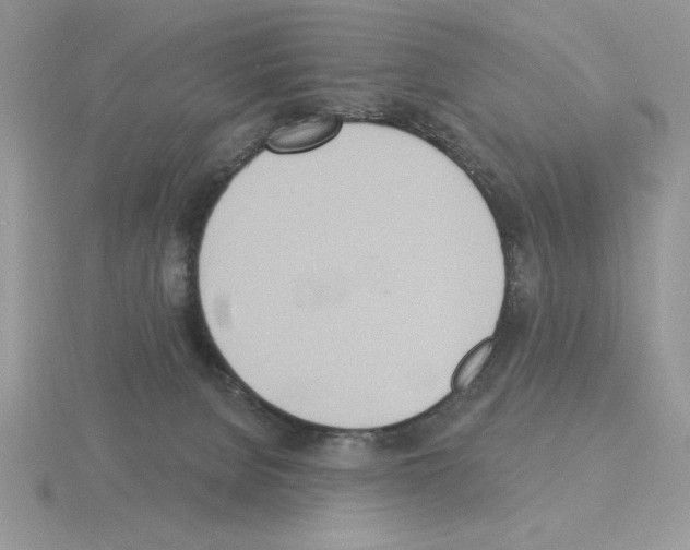 X0000115420080200912151612