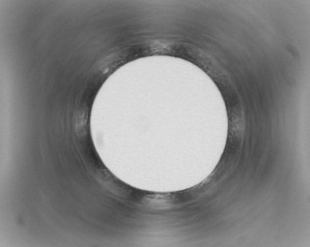 X0000115420082200912151612