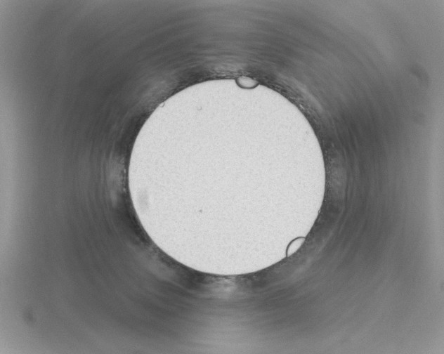 X0000115420083200912151612