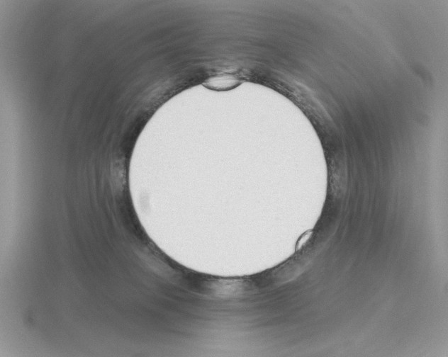 X0000115420085200912151612