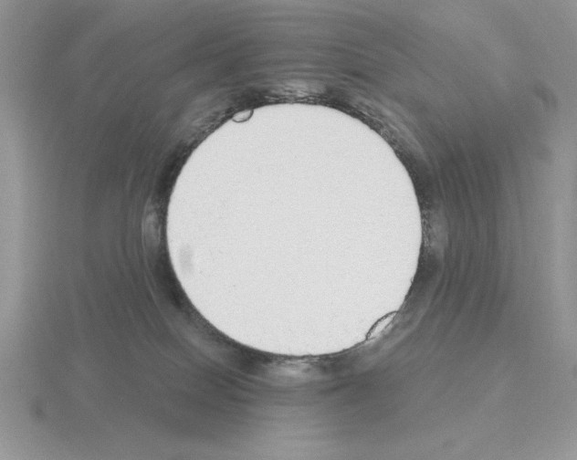 X0000115420086200912151612