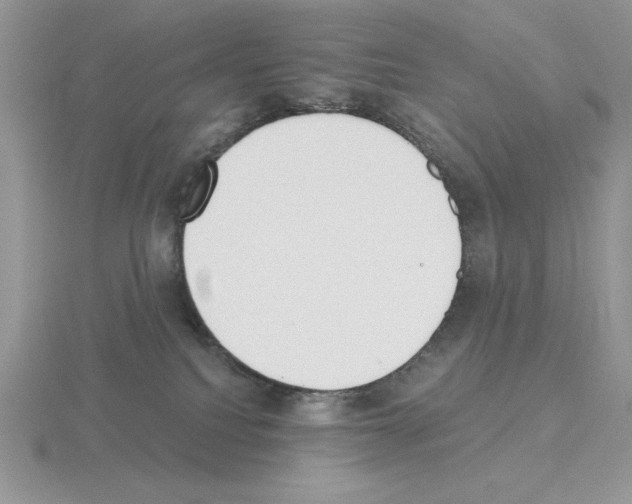 X0000115420088200912151612