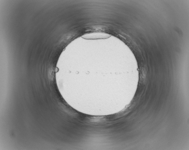 X0000115420090200912151612