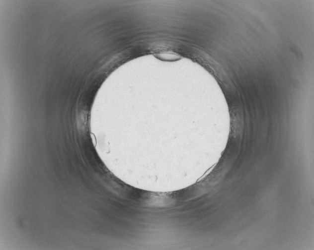 X0000115420093200912151612