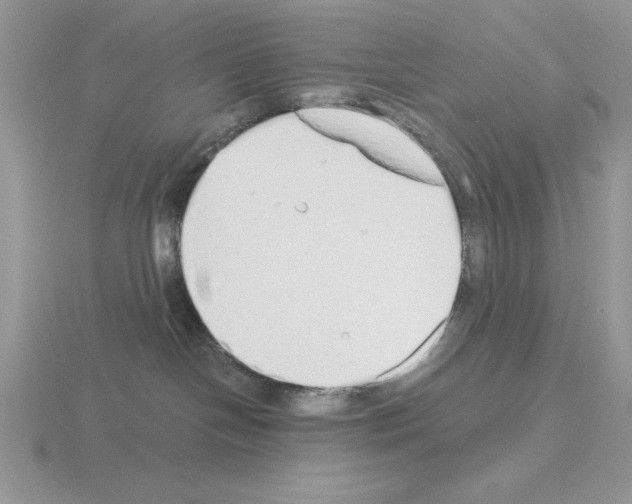 X0000115420094200912151612