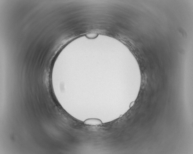 X0000115420098200912151611