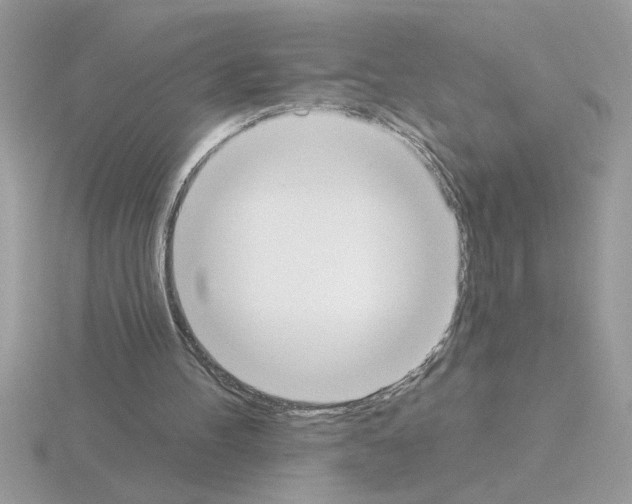 X0000115420100200912151611