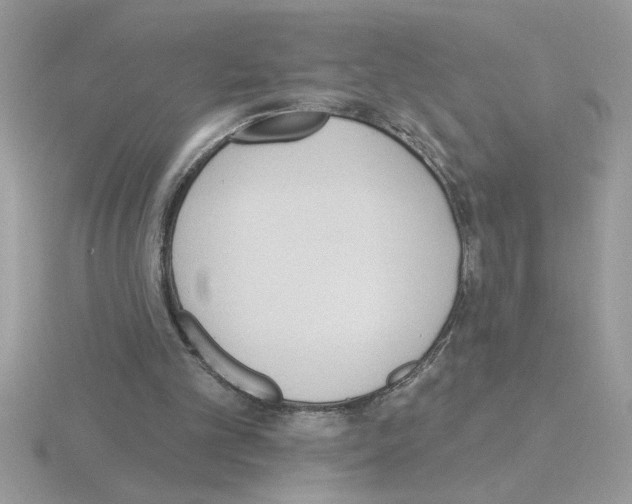 X0000115420101200912151611
