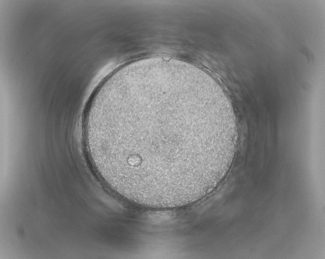 X0000115420102200912151611