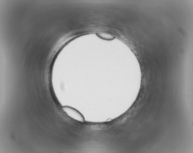 X0000115420103200912151611
