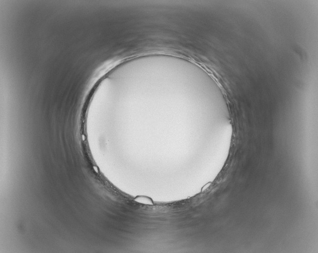 X0000115420104200912151611