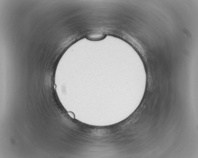 X0000115420105200912151611