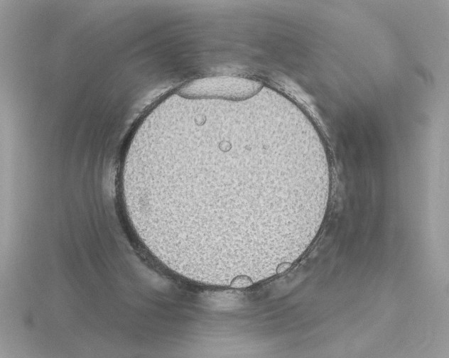 X0000115420106200912151611