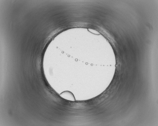 X0000115420107200912151611