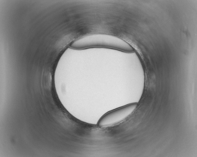 X0000115420109200912151611