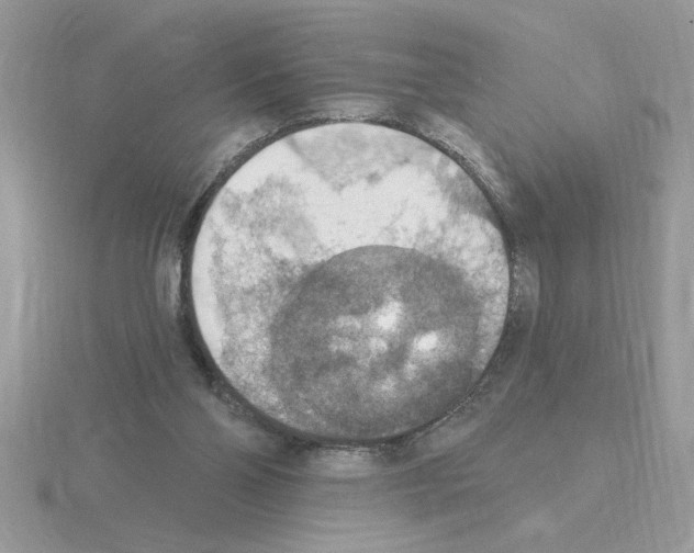 X0000115420110200912151611