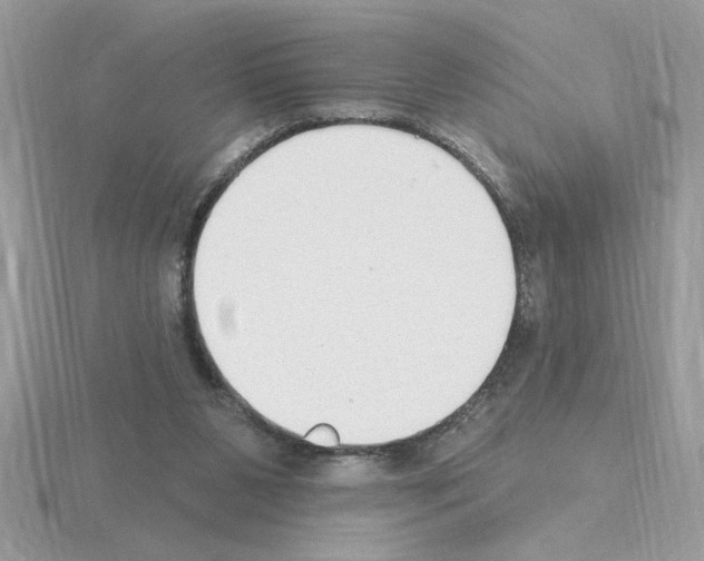 X0000115420111200912151611